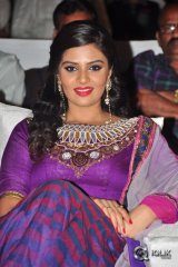 Dhanalakshmi Thalupu Thadithe Movie Audio Launch